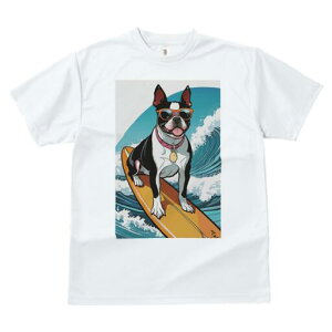 {XgeA TVc  j[NfUCY LbY t@  t vg lJWA 킢 lԗp Mtg I ҏ΍ T[tB {XgeA g TO