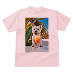 EGXgnChzCgeA TVc  j[NfUCfB[X t@  t vg lJWA 킢 lԗp Mtg I ҏ΍ JNe EGXgnC