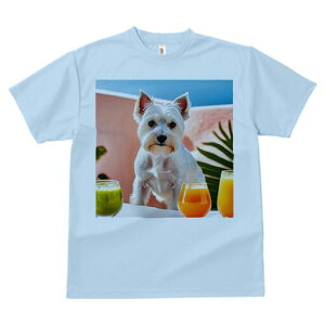 EGXgnChzCgeA TVc  j[NfUCfB[X t@  t vg lJWA 킢 lԗp Mtg I ҏ΍ W[X EGXgnC