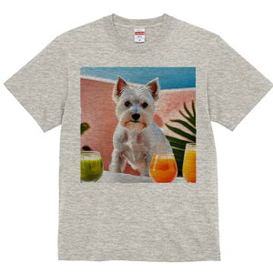 EGXgnChzCgeA TVc  j[NfUCY LbY t@  t vg lJWA 킢 lԗp Mtg I ҏ΍ W[X EGXg