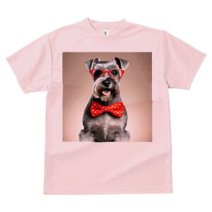 ~j`AViEU[ TVc  j[NfUCfB[X t@  t vg lJWA 킢 lԗp Mtg I ҏ΍ Kl ~j`AViEU[ 