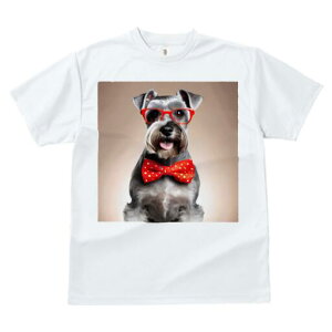 ~j`AViEU[ TVc  j[NfUCY LbY t@  t vg lJWA 킢 lԗp Mtg I ҏ΍ Kl ~j`AViEU