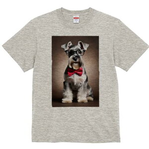 ~j`AViEU[ TVc  j[NfUCfB[X t@  t vg lJWA 킢 lԗp Mtg I ҏ΍ Kl ~j`AViEU[ 