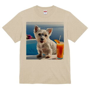 EGXgnChzCgeA TVc  j[NfUCfB[X t@  t vg lJWA 킢 lԗp Mtg I ҏ΍ W[X EGXgnC