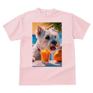 EGXgnChzCgeA TVc  j[NfUCfB[X t@  t vg lJWA 킢 lԗp Mtg I ҏ΍ W[X EGXgnC