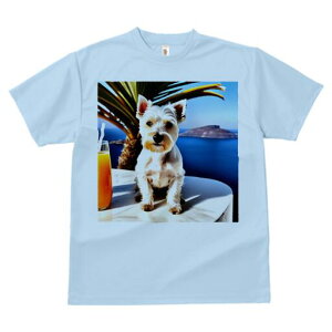 EGXgnChzCgeA TVc  j[NfUCfB[X t@  t vg lJWA 킢 lԗp Mtg I ҏ΍ C EGXgnCh