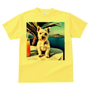 EGXgnChzCgeA TVc  j[NfUCY LbY t@  t vg lJWA 킢 lԗp Mtg I ҏ΍ C EGXgnC