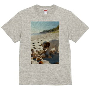 WbNbZeA TVc  j[NfUCfB[X t@  t vg lJWA 킢 lԗp Mtg I ҏ΍ r[` WbNbZeA 