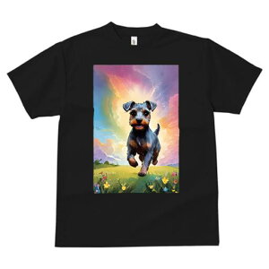 m[tH[NeA TVc  j[NfUCfB[X t@  t vg lJWA 킢 lԗp Mtg I ҏ΍  m[tH[NeA   