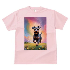 m[tH[NeA TVc  j[NfUCfB[X t@  t vg lJWA 킢 lԗp Mtg I ҏ΍  m[tH[NeA   