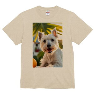 EGXgnChzCgeA TVc  j[NfUCfB[X t@  t vg lJWA 킢 lԗp Mtg I ҏ΍ IW EGXgnC