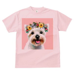 EGXgnChzCgeA TVc  j[NfUCY LbY t@  t vg lJWA 킢 lԗp Mtg I ҏ΍  EGXgnC