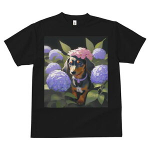 _bNXth TVc  j[NfUCfB[X t@  t vg lJWA 킢 lԗp Mtg I ҏ΍  _bNXth AWTC 