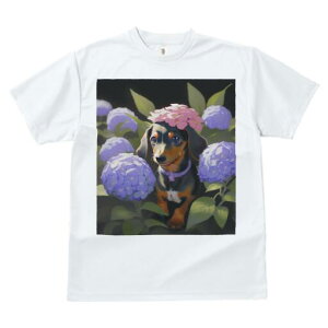 _bNXth TVc  j[NfUCY LbY t@  t vg lJWA 킢 lԗp Mtg I ҏ΍  _bNXth AWTC 