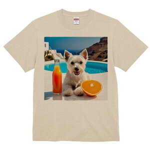 EGXgnChzCgeA TVc  j[NfUCfB[X t@  t vg lJWA 킢 lԗp Mtg I ҏ΍ IWW[X EG