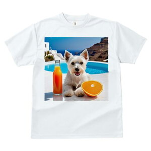 �E�G�X�g�n�C�����h�z���C�g�e���A T�V���c ���� ���j�[�N�f�U�C�����f�B�[�X ���t�@�� ���� �t�� �v�����g ��l�J�W���A�� ���킢�� �l�ԗp �M�t�g ���I �ҏ��΍� �I�����W�W���[�X �E�G