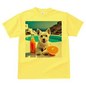 �E�G�X�g�n�C�����h�z���C�g�e���A T�V���c ���� ���j�[�N�f�U�C�����f�B�[�X ���t�@�� ���� �t�� �v�����g ��l�J�W���A�� ���킢�� �l�ԗp �M�t�g ���I �ҏ��΍� �I�����W�W���[�X �E�G