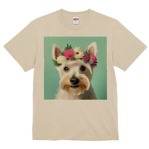 EGXgnChzCgeA TVc  j[NfUCfB[X t@  t vg lJWA 킢 lԗp Mtg I ҏ΍ Ԋ EGXgnC