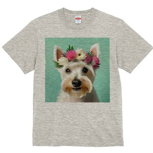 EGXgnChzCgeA TVc  j[NfUCfB[X t@  t vg lJWA 킢 lԗp Mtg I ҏ΍ Ԋ EGXgnC