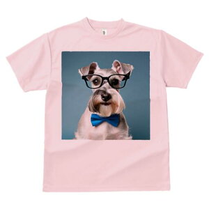 ~j`AViEU[ TVc  j[NfUCY LbY t@  t vg lJWA 킢 lԗp Mtg I ҏ΍ Kl ~j`AViEU