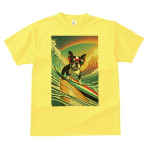 {XgeA TVc  j[NfUCfB[X t@  t vg lJWA 킢 lԗp Mtg I ҏ΍ T[tB {XgeA g TOX 