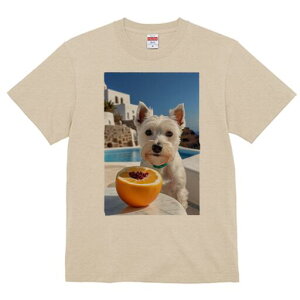 EGXgnChzCgeA TVc  j[NfUCfB[X t@  t vg lJWA 킢 lԗp Mtg I ҏ΍ IW EGXgnC