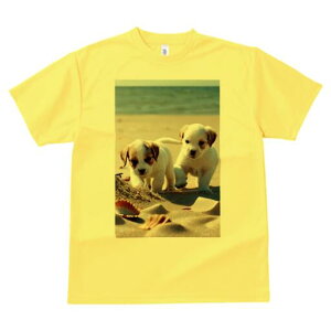 WbNbZeA TVc  j[NfUCfB[X t@  t vg lJWA 킢 lԗp Mtg I ҏ΍ r[` WbNbZeA 