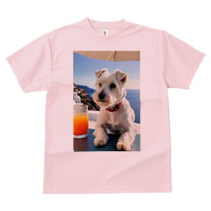 EGXgnChzCgeA TVc  j[NfUCfB[X t@  t vg lJWA 킢 lԗp Mtg I ҏ΍ W[X EGXgnC