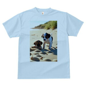 WbNbZeA TVc  j[NfUCfB[X t@  t vg lJWA 킢 lԗp Mtg I ҏ΍ r[` WbNbZeA