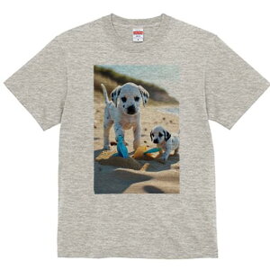 _VA TVc  j[NfUCfB[X t@  t vg lJWA 킢 lԗp Mtg I ҏ΍ r[` _VA  