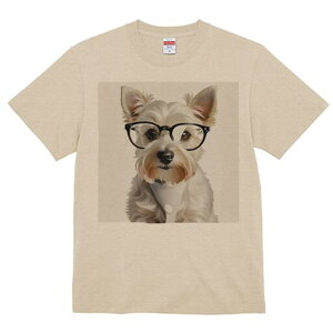 EGXgnChzCgeA TVc  j[NfUCfB[X t@  t vg lJWA 킢 lԗp Mtg I ҏ΍ Kl EGXgnC