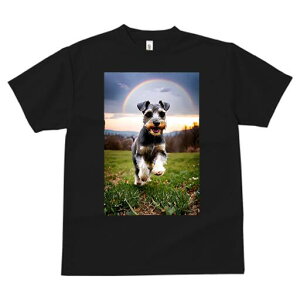 ~j`AViEU[ TVc  j[NfUCfB[X t@  t vg lJWA 킢 lԗp Mtg I ҏ΍  ~j`AViEU[  