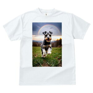 ~j`AViEU[ TVc  j[NfUCfB[X t@  t vg lJWA 킢 lԗp Mtg I ҏ΍  ~j`AViEU[  