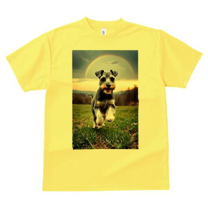 ~j`AViEU[ TVc  j[NfUCfB[X t@  t vg lJWA 킢 lԗp Mtg I ҏ΍  ~j`AViEU[  