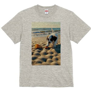 WbNbZeA TVc  j[NfUCfB[X t@  t vg lJWA 킢 lԗp Mtg I ҏ΍ r[` WbNbZeA 