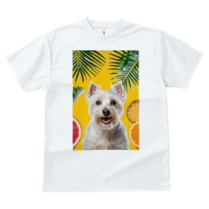 EGXgnChzCgeA TVc  j[NfUCfB[X t@  t vg lJWA 킢 lԗp Mtg I ҏ΍ t EGXgnCh