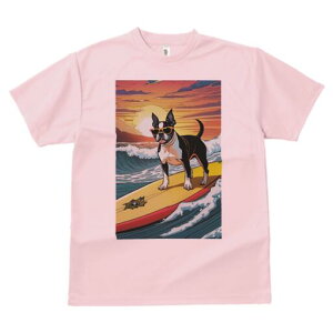 {XgeA TVc  j[NfUCfB[X t@  t vg lJWA 킢 lԗp Mtg I ҏ΍ T[tB {XgeA C g z