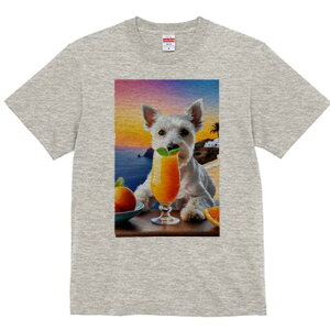 EGXgnChzCgeA TVc  j[NfUCfB[X t@  t vg lJWA 킢 lԗp Mtg I ҏ΍ IWW[X EG