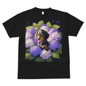 _bNXth TVc  j[NfUCY LbY t@  t vg lJWA 킢 lԗp Mtg I ҏ΍ AWTC _bNXth  