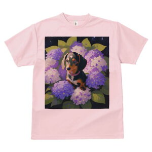 _bNXth TVc  j[NfUCfB[X t@  t vg lJWA 킢 lԗp Mtg I ҏ΍ AWTC _bNXth  