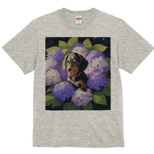 _bNXth TVc  j[NfUCfB[X t@  t vg lJWA 킢 lԗp Mtg I ҏ΍ AWTC _bNXth  