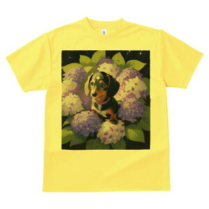 _bNXth TVc  j[NfUCY LbY t@  t vg lJWA 킢 lԗp Mtg I ҏ΍ AWTC _bNXth  