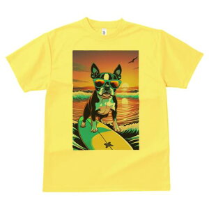 {XgeA TVc  j[NfUCfB[X t@  t vg lJWA 킢 lԗp Mtg I ҏ΍ T[tB {XgeA C [Ă T