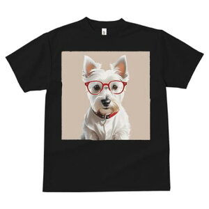 EGXgnChzCgeA TVc  j[NfUCfB[X t@  t vg lJWA 킢 lԗp Mtg I ҏ΍ Kl EGXgnC