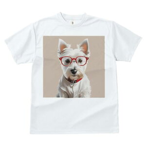 EGXgnChzCgeA TVc  j[NfUCfB[X t@  t vg lJWA 킢 lԗp Mtg I ҏ΍ Kl EGXgnC