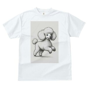 v[h TVc  j[NfUCfB[X t@  t vg lJWA 킢 lԗp Mtg I ҏ΍ v[h