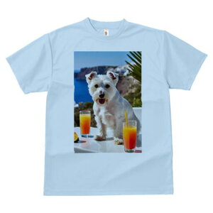 EGXgnChzCgeA TVc  j[NfUCfB[X t@  t vg lJWA 킢 lԗp Mtg I ҏ΍ W[X EGXgnC