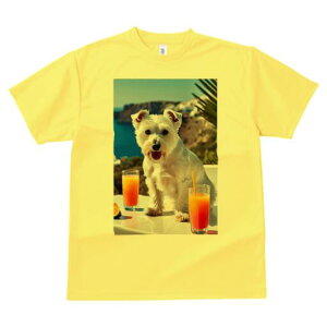 EGXgnChzCgeA TVc  j[NfUCfB[X t@  t vg lJWA 킢 lԗp Mtg I ҏ΍ W[X EGXgnC