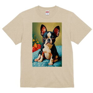 {XgeA TVc  j[NfUCfB[X t@  t vg lJWA 킢 lԗp Mtg I ҏ΍ v[g {XgeA 