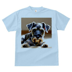 ~j`AViEU[ TVc  j[NfUCfB[X t@  t vg lJWA 킢 lԗp Mtg I ҏ΍ ~j`AViEU[